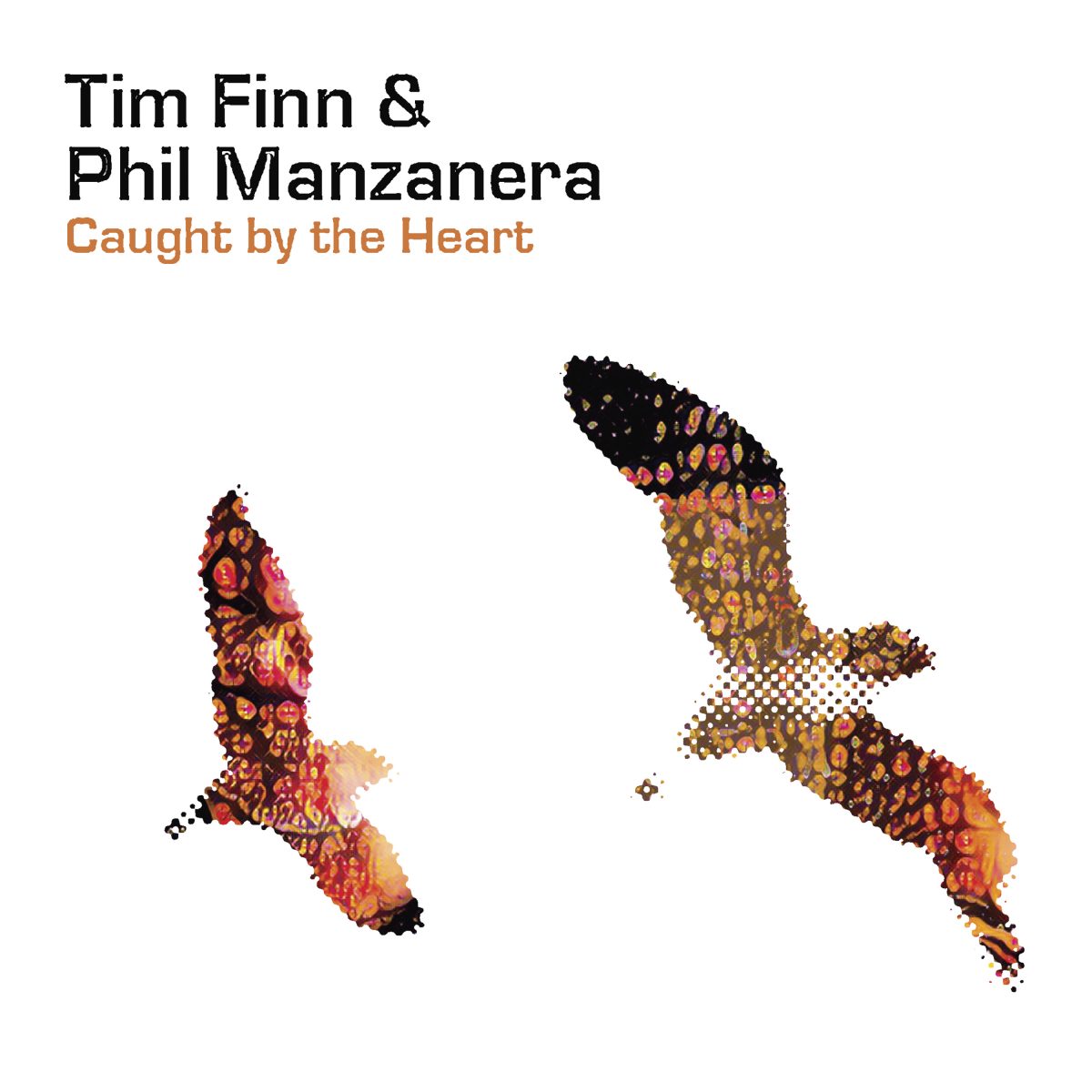 Tim Finn & Phil Manzanera – Caught by the Heart